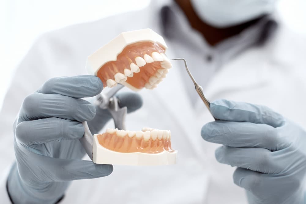 Dental professional using a teeth model to educate a patient during a consultation about oral health and treatment options.